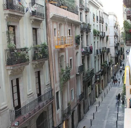 Casa de hóspedes Dragonflybcn *