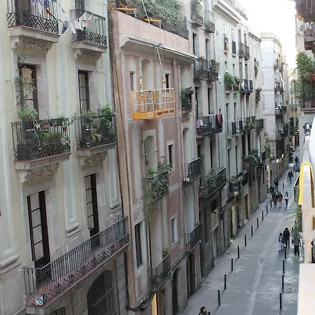 Affittacamere Dragonflybcn *