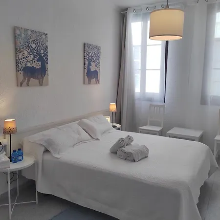 Dragonflybcn Πανσιόν