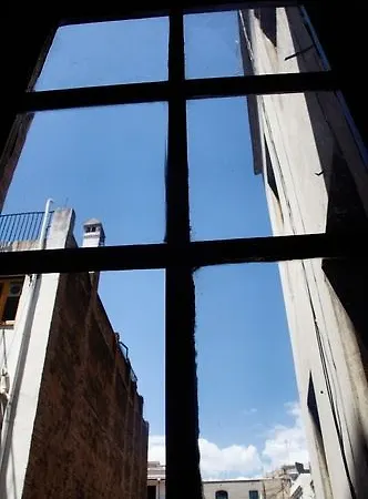 Dragonflybcn Konukevi Barselona