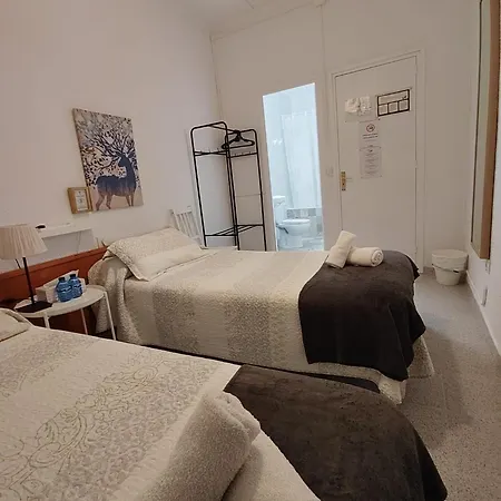 드래곤플라이 Bcn