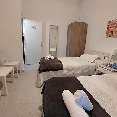 드래곤플라이 Bcn