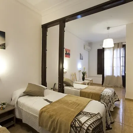 招待所 Dragonflybcn