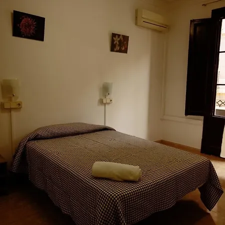 Dragonflybcn 巴塞罗那
