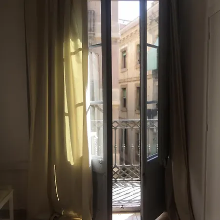 드래곤플라이 Bcn *